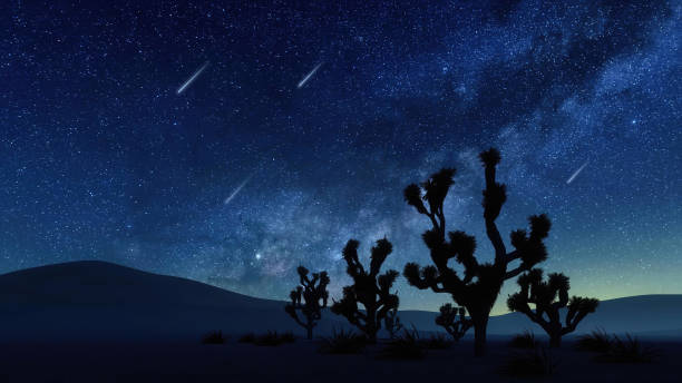 pustynny krajobraz z spadającymi gwiazdami na nocnym niebie - joshua zdjęcia i obrazy z banku zdjęć
