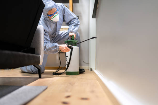 istock Pest Control Exterminator Man Spraying Termite Pesticide 1348229747