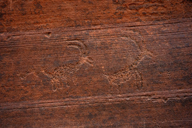 Two Animal Petroglyphs On Slickrock Wall