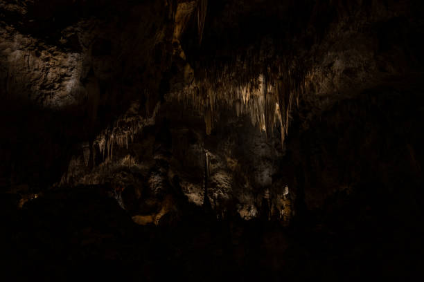 istock The Big Room In Carlsbad Caverns 1348232116