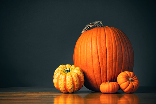 Decorative pumpkins and gourds on a wood table with a black background with plenty of copy space.