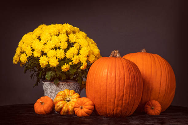 istock Two Pumpkins Gourds and Fall Flowers 1348234094