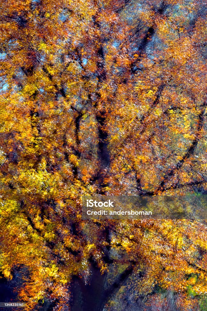 Double exposure to autumn leaves Double exposure to autumn leaves from stockholm sweden Abstract Stock Photo