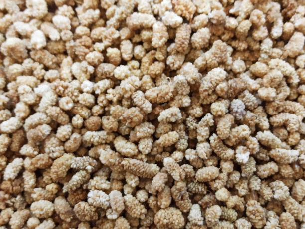 Mulberry - fruit, Dried Fruit, Dieting, Nut - food, Bowl