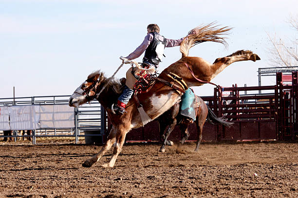 Foto Cowboy on Bucking Bronco - foto de stock