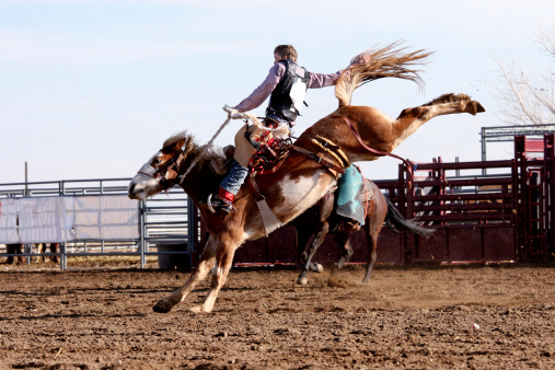 Cowboy saddle bronc riding a horse at a rodeo competition. Bucking horse giving him a hard time while riding.