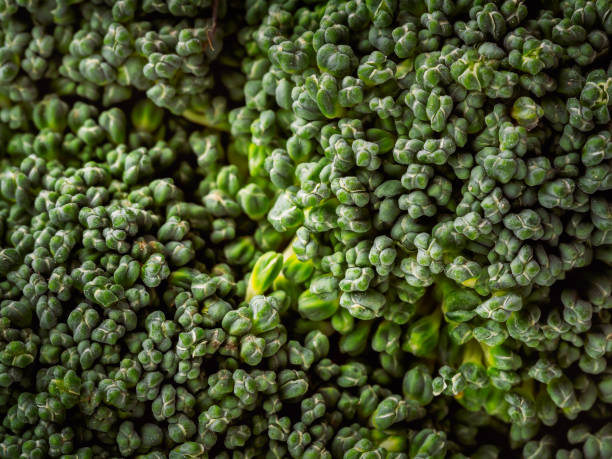 istock Broccoli cabbage macro. Background from small green leaves of broccoli cabbage 1348245469