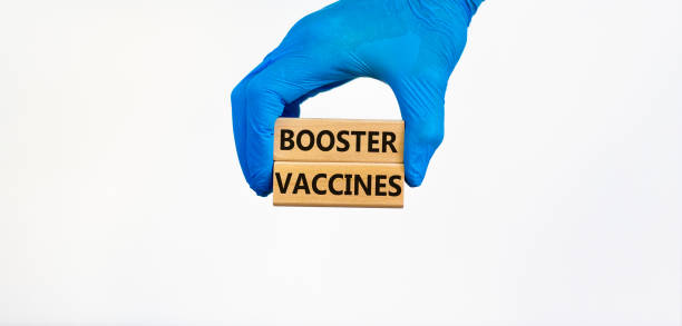 Covid-19 booster shots vaccines symbol. Doctor hand in blue glove holds wooden blocks with words booster vaccines, beautiful white background. Covid-19 booster shots vaccines concept. stock photo