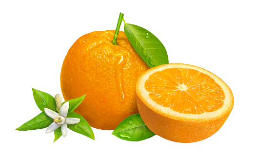 An illustration of a whole orange surrounded by leaves, with a cut half on the right side.