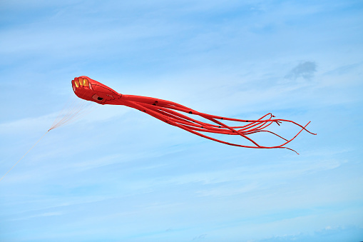 Bright red pink octopus kite flying against background of beautiful vibrant blue sky with white clouds, large red octopus-shaped kite, kite festival, Svetlogorsk, Kaliningrad oblast