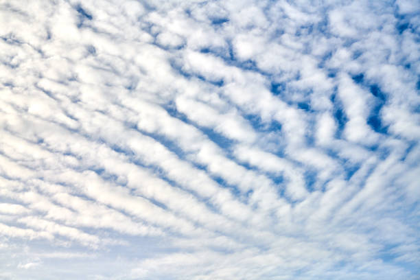 Beautiful blue sky with unusual white Altocumulus undulatus clouds, extraordinary cloud formation Beautiful blue sky with unusual white Altocumulus undulatus clouds, extraordinary cloud formation. White cirrocumulus clouds, altocumulus cloudy skies, stratocumulus cloud texture, blue sky background altocumulus stratiformis stock pictures, royalty-free photos & images