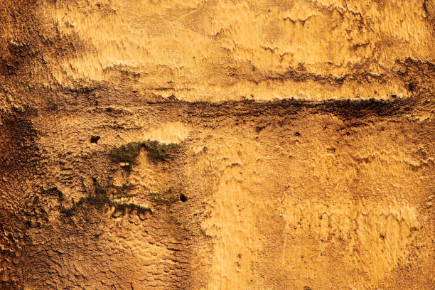 White sandstone cliffs on british beach in england uk.