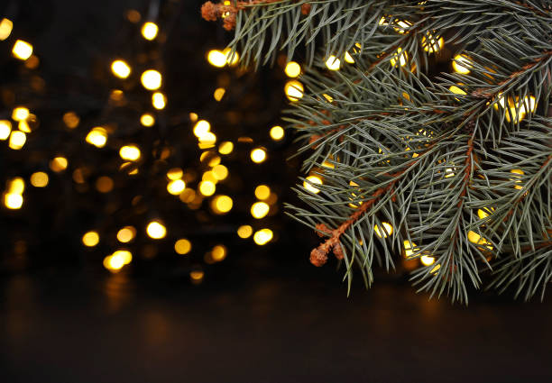 istock Festive christmas background. Golden chrismas light. 1348252025