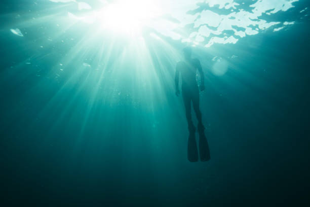 istock Freediver ascending to sea surface 1348253716