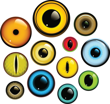 Collection of human and animal eyes. Download contains EPS8, AI10, SVG and JPG