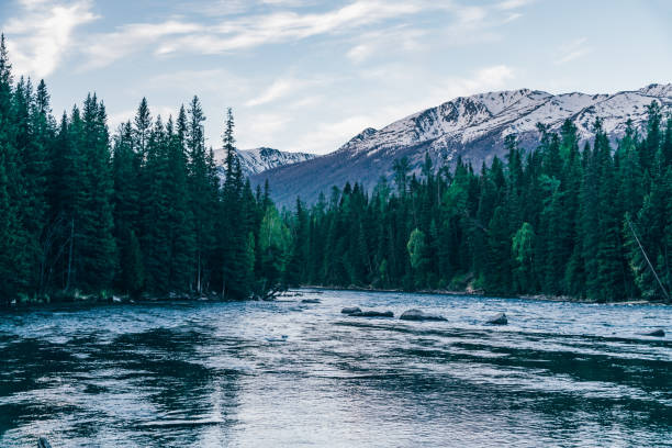 istock Scenery of Kanas, Xinjiang,China. 1348256866