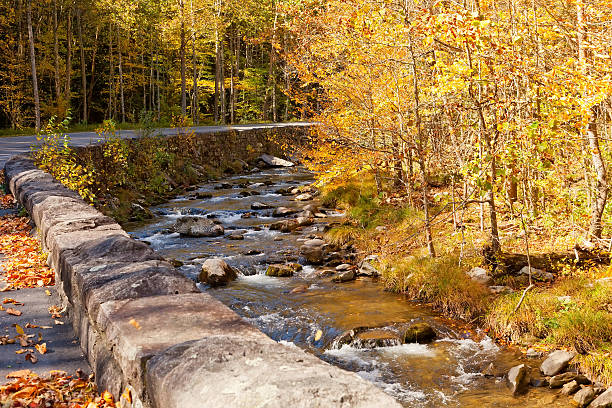 istock Winding Road along Running Stream in North Carolina 134825774