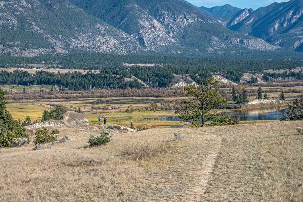 istock Viewpoint at Wilmer Bird Sanctuary (aka Columbia National Wildlife Area) near Invermere 1348261778