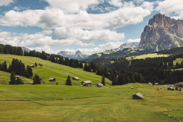 istock Alpe di Siusi, Seiser Alm, Val Gardena, Dolomites 1348262379