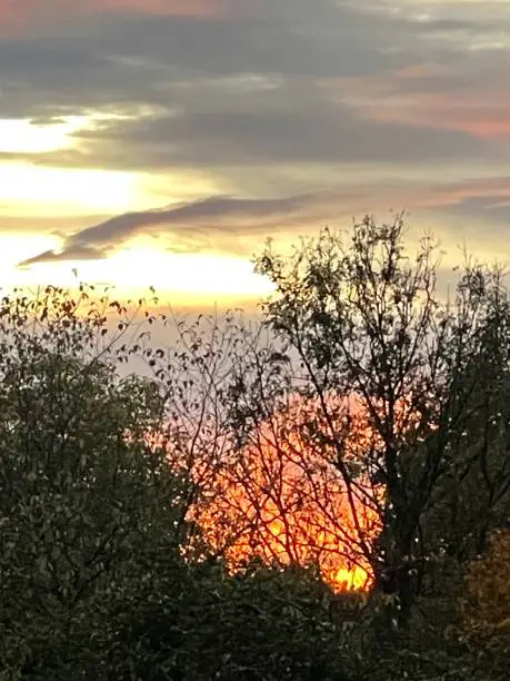 Sunset in autumn, with dark tree silhouettes and the sun looks like a heart, Upper Bavaria