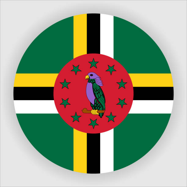 Dominica Flat Rounded Country Flag button Icon Flat Rounded Country Flag button Icon series kelp gull stock illustrations