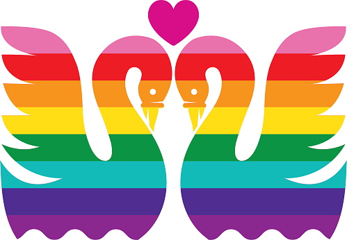 a pair of swans celebrating Pride and love