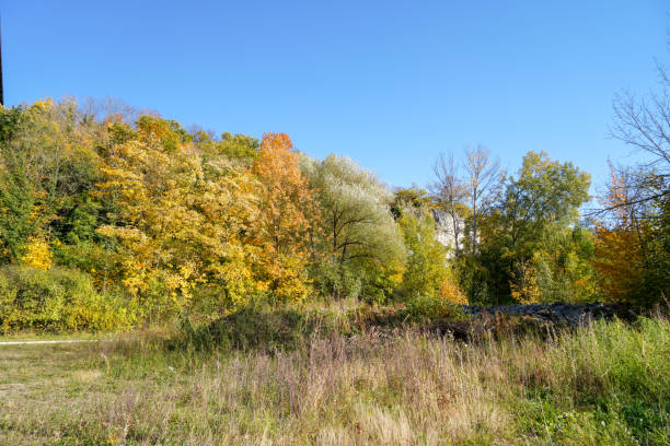 istock maintained park for recreation for all open in Germany 1348264169