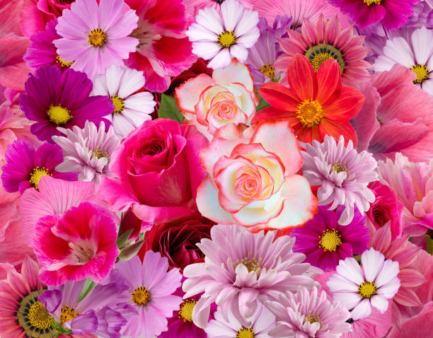 istock Floral background of flowers 1348265705
