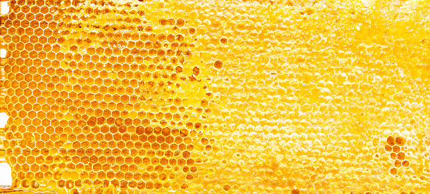 Natural yellow honeycomb sweet textured background.
