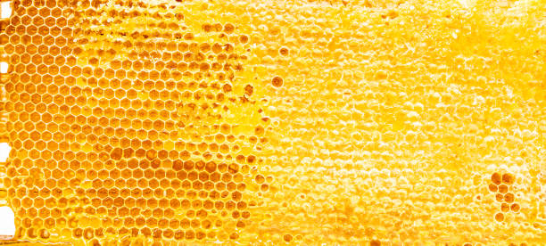 Natural yellow honeycomb sweet textured background. Natural yellow honeycomb sweet textured background. honeycomb animal creation stock pictures, royalty-free photos & images