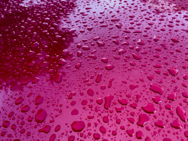 krople deszczu - condensation mobilestock clean empty zdjęcia i obrazy z banku zdjęć