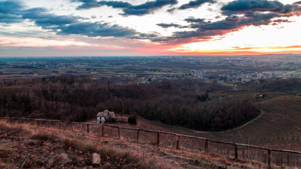 istock Colorful sunset in the italian vineyards 1348268677