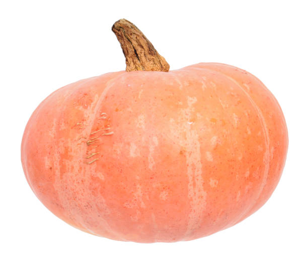 istock Orange ripe fresh pumpkin isolated on white background 1348269270