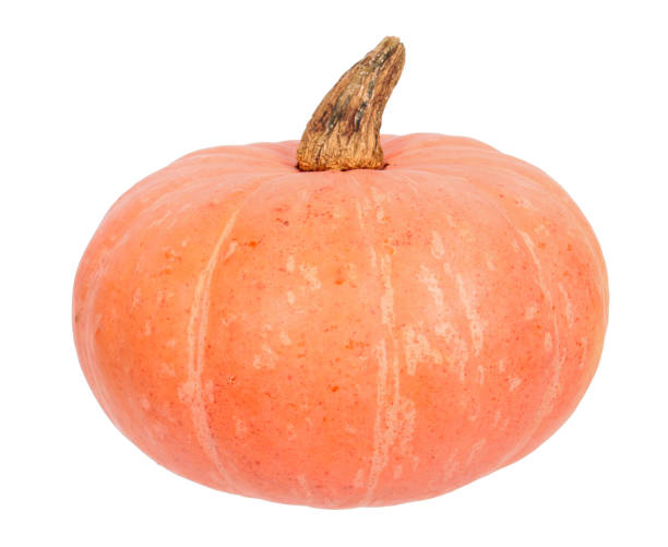 istock Orange ripe fresh pumpkin isolated on white background 1348269274