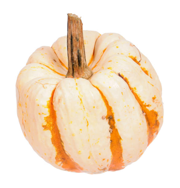 istock White ripe fresh striped pumpkin isolated on white background 1348269293