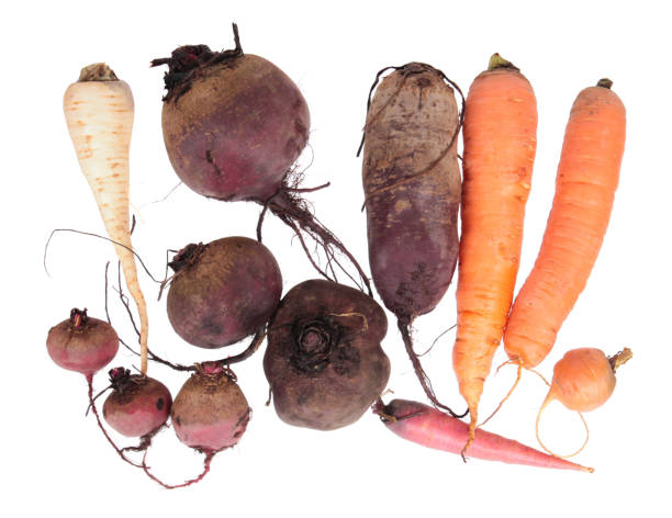 Harvest of root vegetables. Still life with raw beets, parsley, carrots isolated on white background