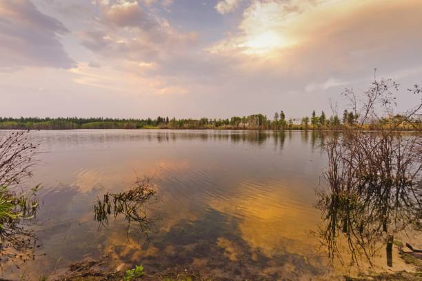 istock Late afternoon light on McIntyre Lake 1348272027