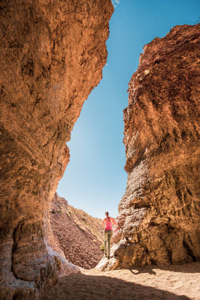 istock Summery View of the Upper Burro Mesa Pouroff 1348272109