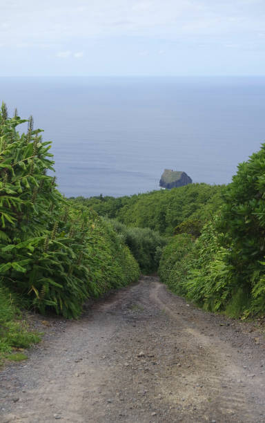 amazing nature on the azores islands