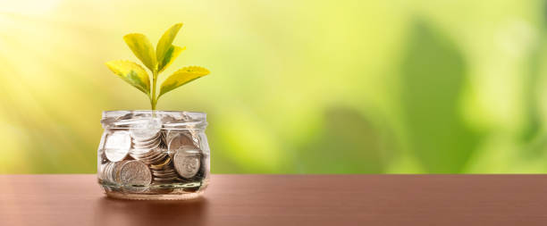 istock Budget, saving money with growing plant from jar 1348273029