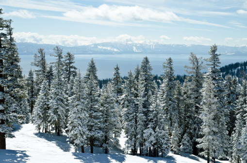 View from the top of the mountain at lake Tahoe