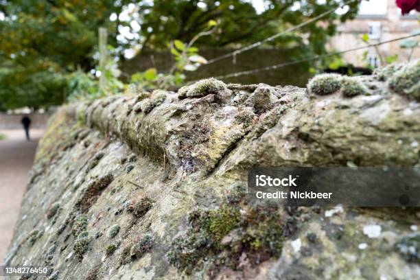 Shallow Focus Of A Very Old Crumbling Stone Wall Stock Photo - Download Image Now - At The Edge Of, Barbed Wire, Boundary