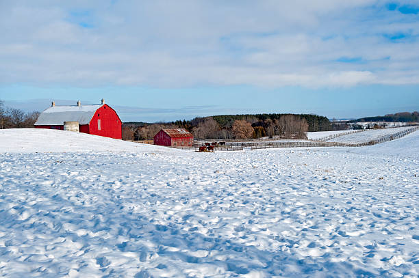 istock Distant view of red barns in the snow 134827969