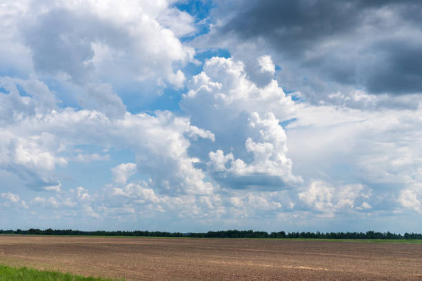 istock Beautiful white Cumulus clouds in sunny weather, background. 1348281387