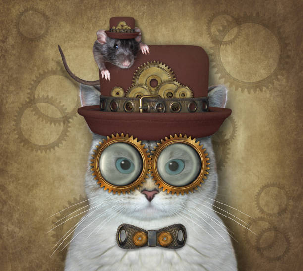 cat ashen est steampunk - ashen photos et images de collection