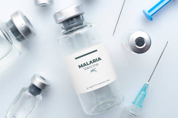 말라리아 백신 개념: 백색 평면에 바이알과 주사기 - malaria 뉴스 사진 이미지
