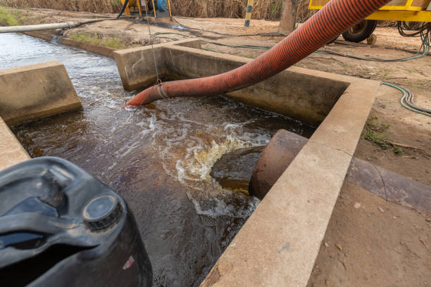 istock Cannon irrigation of sugarcane plantation 1348291271