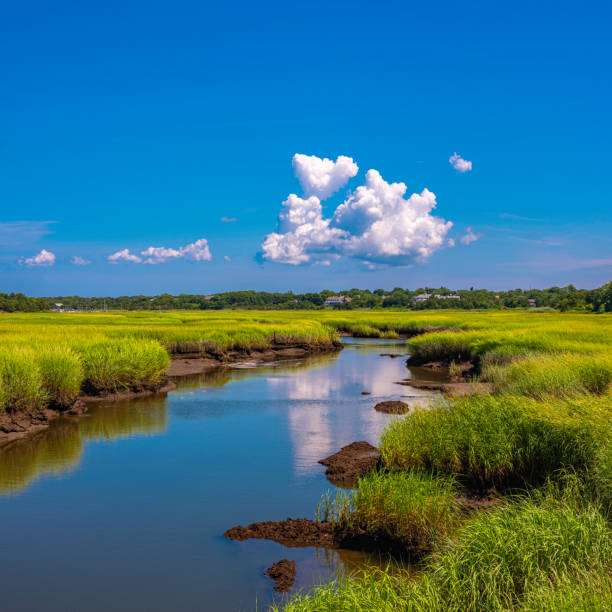 istock Peaceful seascape with blue sky, white clouds and river reflections 1348291555
