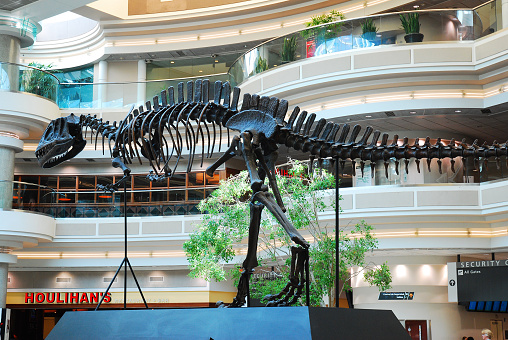 Atlanta, GA, USA September 20 A skeleton of a T Rex stands in the atrium of the Atlanta International Airport