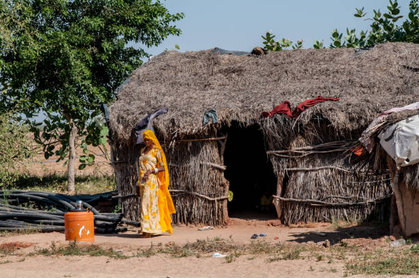 kobieta radżastanu w żółtym sari przed drewnianą chatą - india women ethnic indigenous culture zdjęcia i obrazy z banku zdjęć